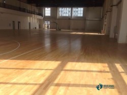 松木舞臺體育場地板哪個牌子較好