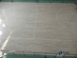 ��Ʒ�|(zh��)�w���\(y��n)��(d��ng)ľ�ذ���ô���B(y��ng)